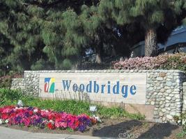 featured image of 5 Goldenwren