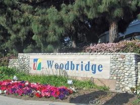 5 Goldenwren - Photo 1 of 1