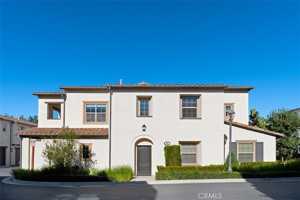 featured image of 96 Talisman #23