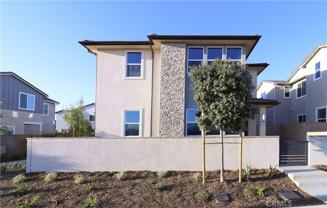 647 Gadwall - Photo 1 of 1