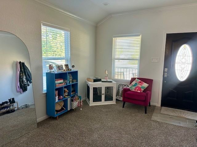 505 18th Ave N #505 - Photo 6 of 12