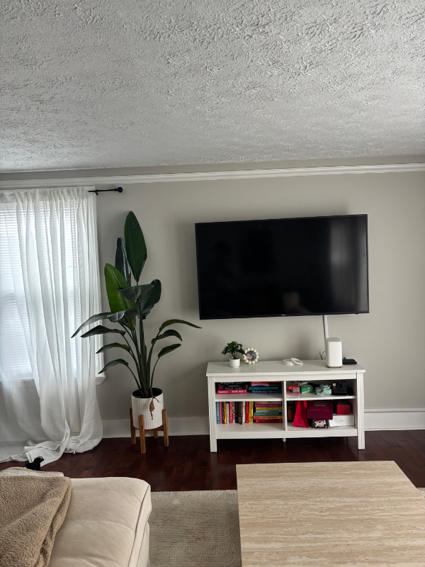 11424 Red Jade Ct - Photo 3 of 12