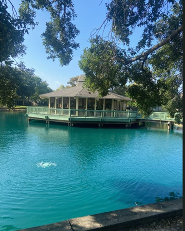 179 Ole Bridge Lake #179 - Photo 6 of 29