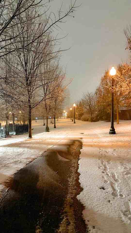 Lansdowne Ave & Davenport Rd #231 - Photo 2 of 12