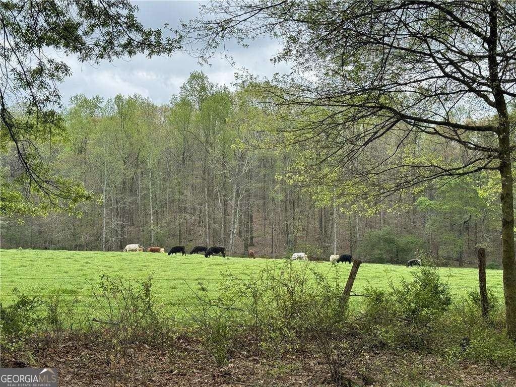 1727 Oak Grove Church Rd #B - Photo 2 of 11