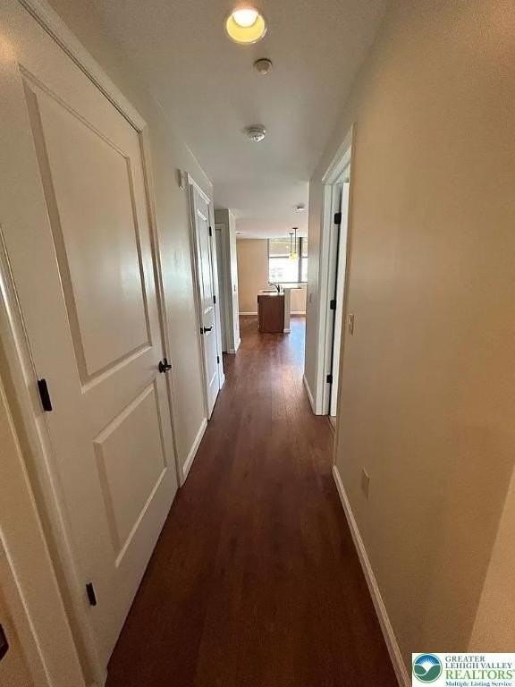 528 North New Street #4 - Photo 5 of 7