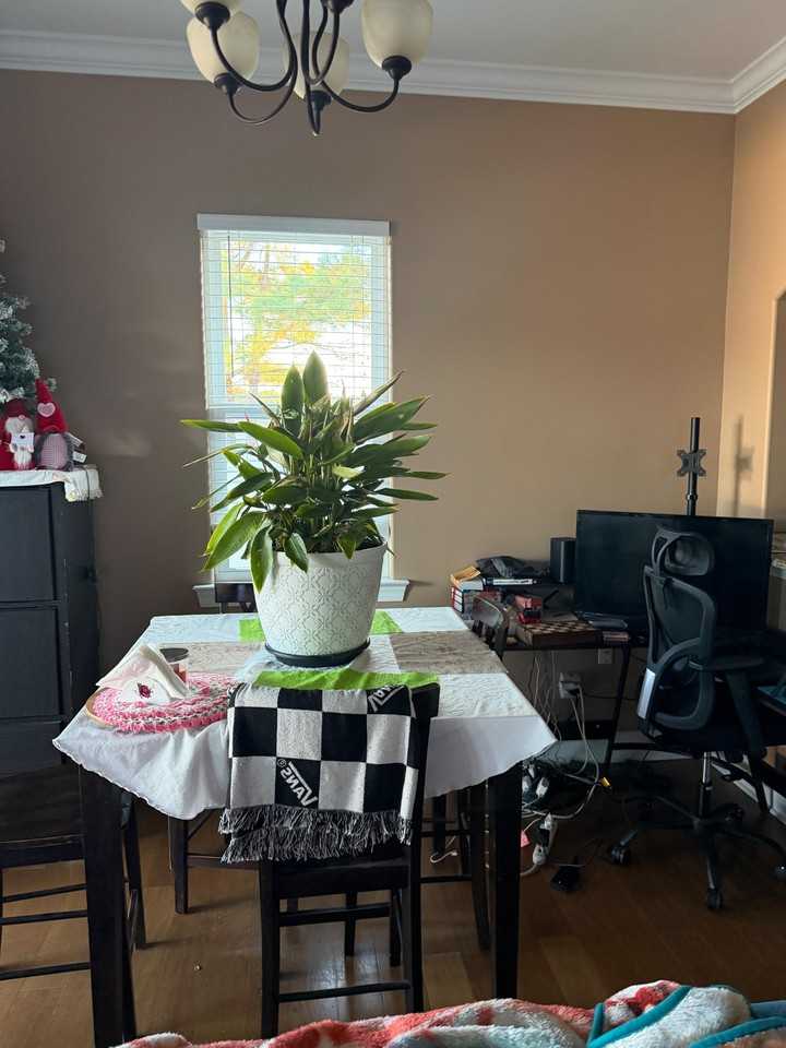 Glenridge Drive - Photo 4 of 9