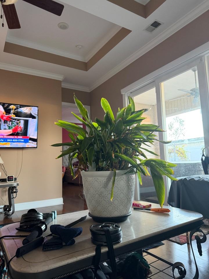 Glenridge Drive - Photo 7 of 9