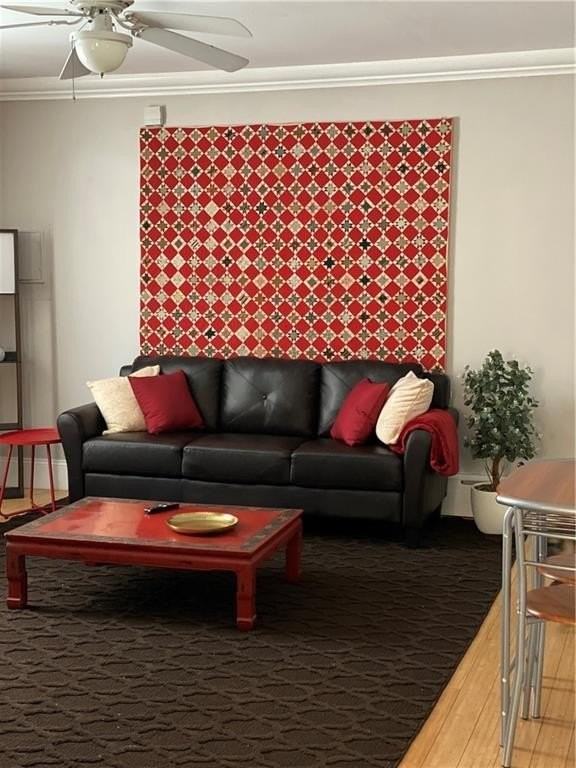 481 Pine St - Photo 5 of 23