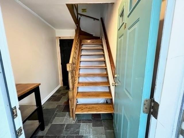 10 Hammond Street #B - Photo 3 of 24