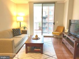 3830 9th Street North #607E - Photo 1 of 1