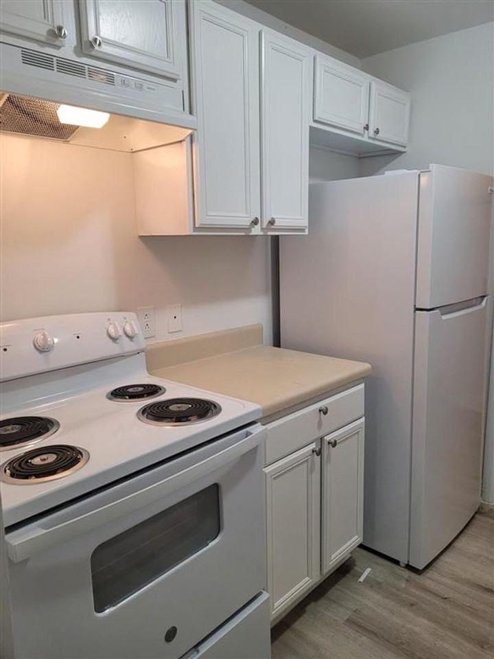 CLIFFS APARTMENT HOLDINGS LLC - Photo 4 of 4