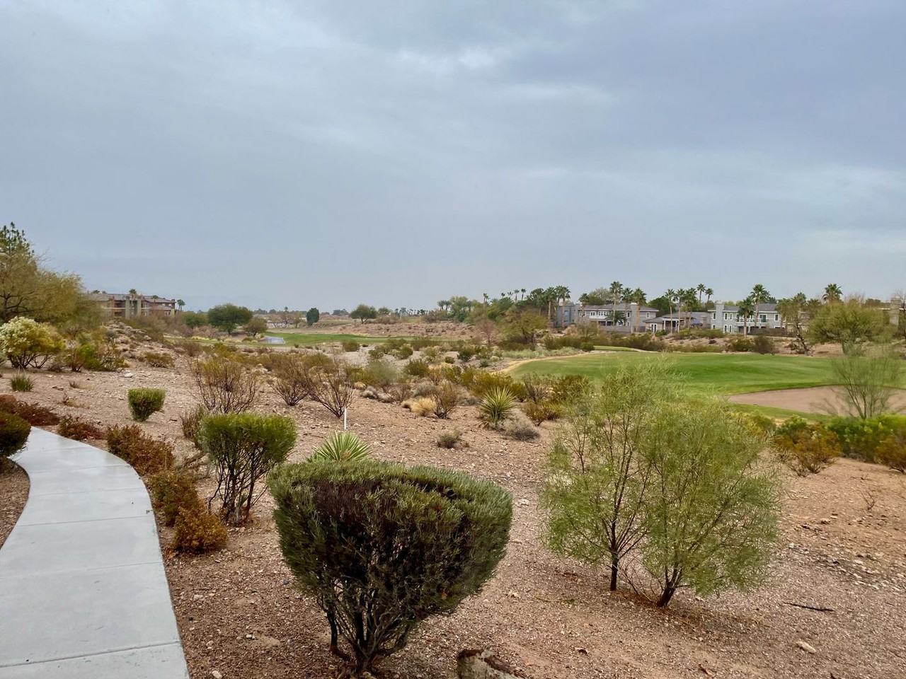 913 Duckhorn Ct - Photo 2 of 13