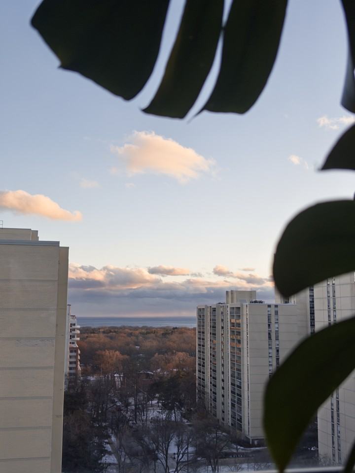 255 Glenlake Avenue #1603 - Photo 6 of 7