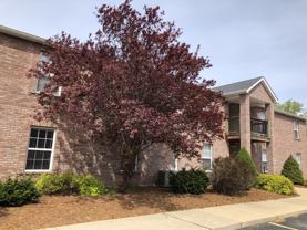 1545 West Pacific Street #204 - Photo 1 of 1