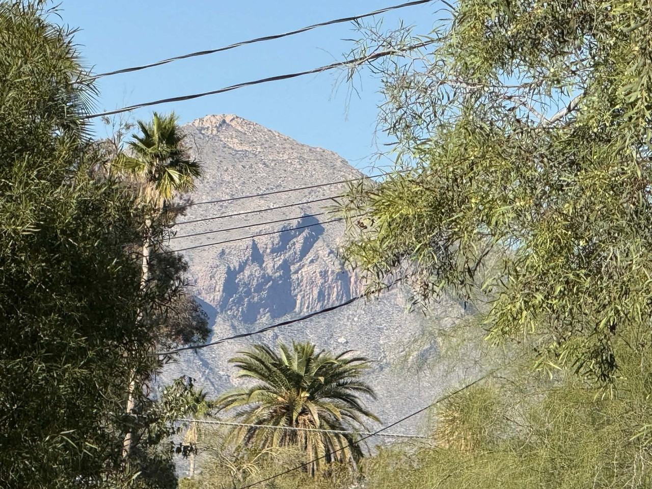 2555 East Fort Lowell Road #1 - Photo 7 of 33