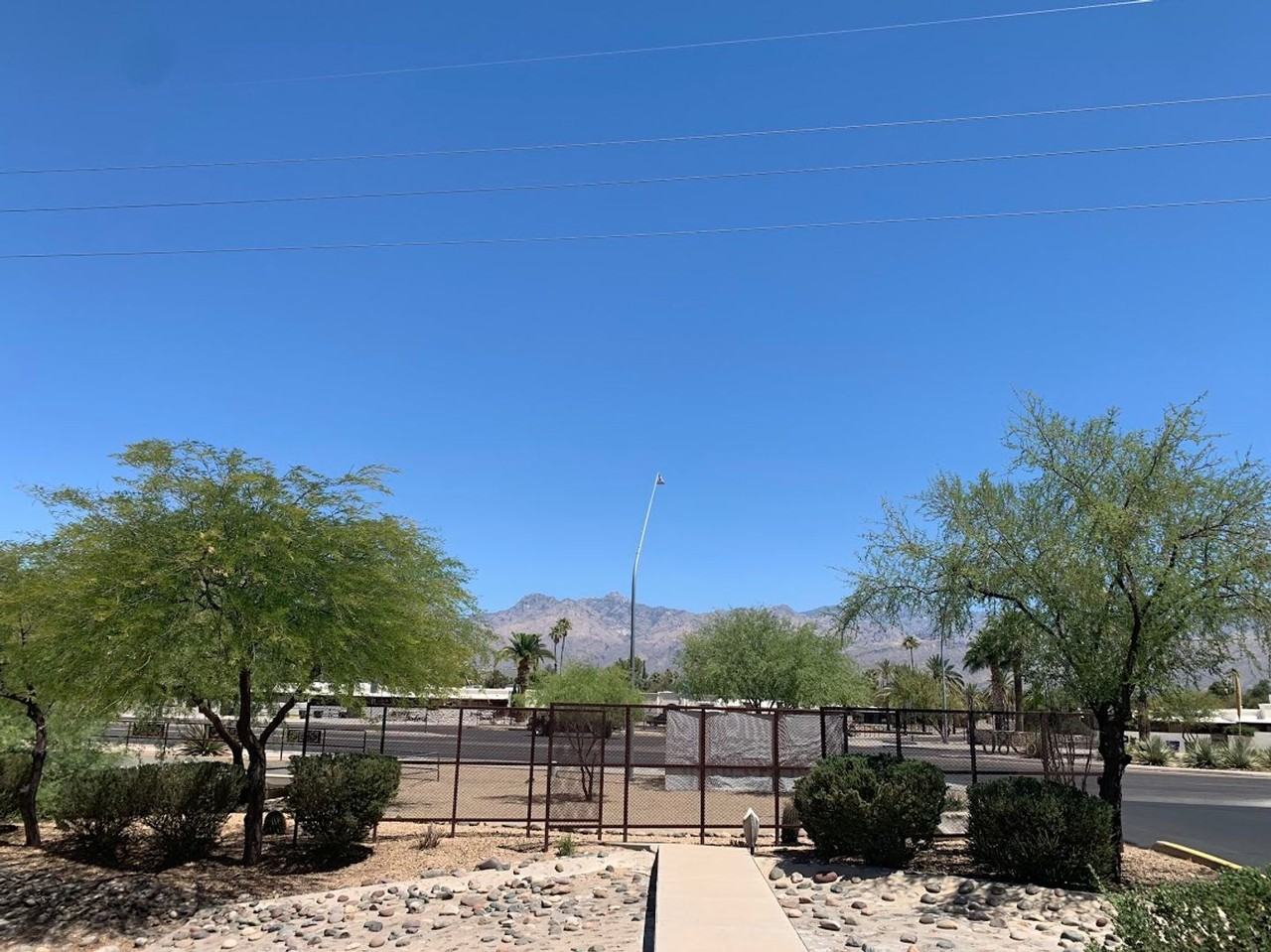 Rincalina on Speedway Townhomes - Photo 7 of 42