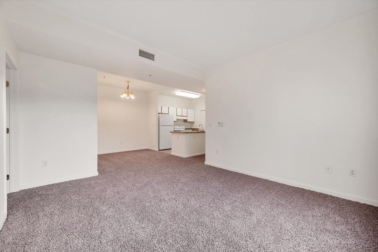 Homewood Point - Photo 5 of 20