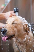 featured image of 572 Gibson Dr