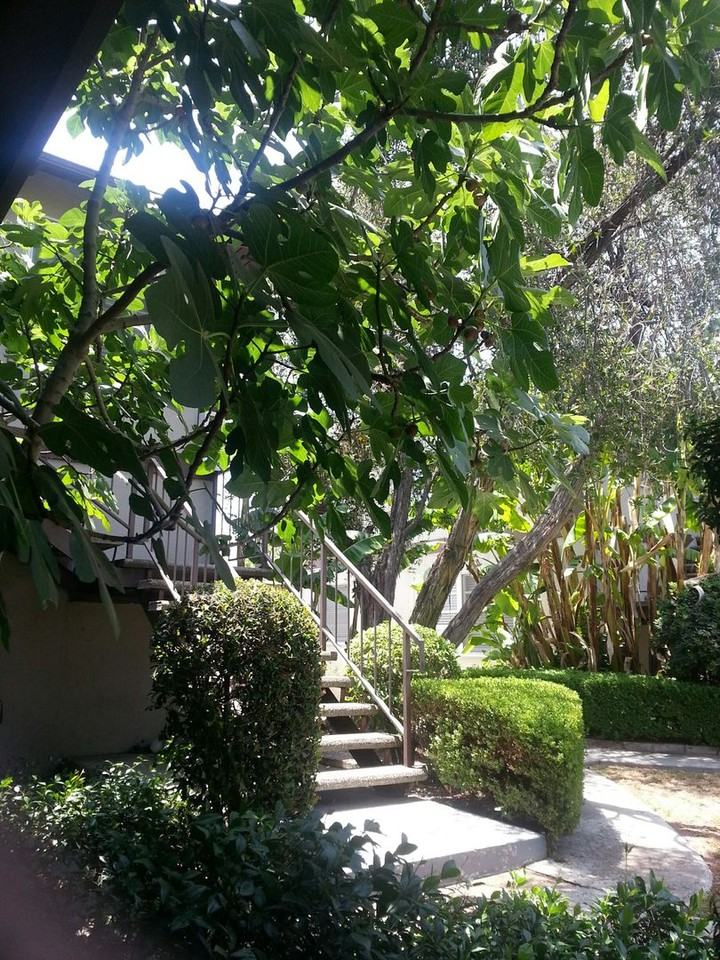 3718 W Chandler Blvd - Photo 2 of 25