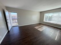 NORTON - Photo 1 of 1