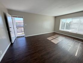 NORTON - Photo 1 of 1