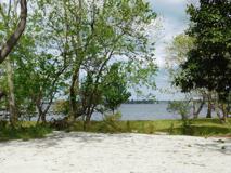 ms706 - Photo 1 of 1