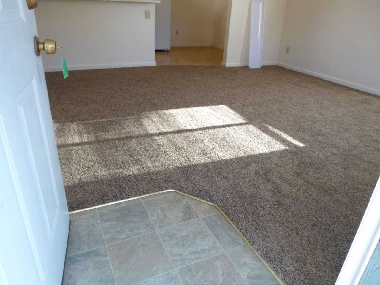 0289 - Photo 5 of 14