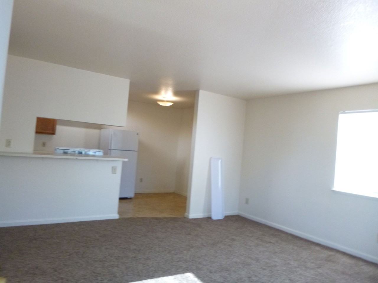 0289 - Photo 7 of 14