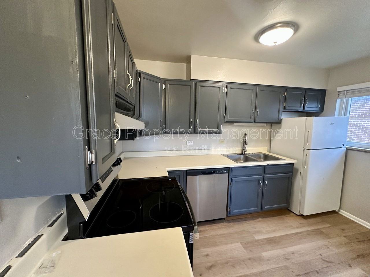 3523 South Downing Street - Photo 6 of 16