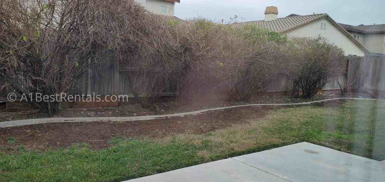 2513 Guadalajara Dr - Photo 4 of 26