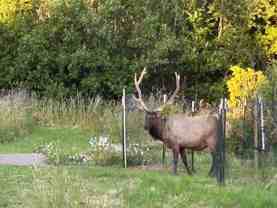 4595 Fieldbrook Road - Photo 1 of 1