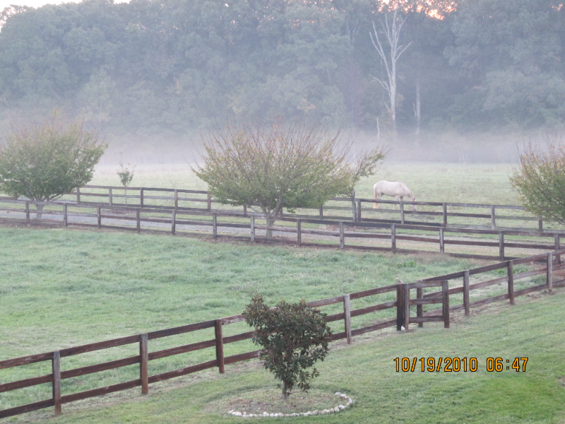 3925 L Lawrence Trail #1 - Photo 2 of 9