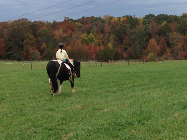 3925 L Lawrence Trail #1 - Photo 3 of 9