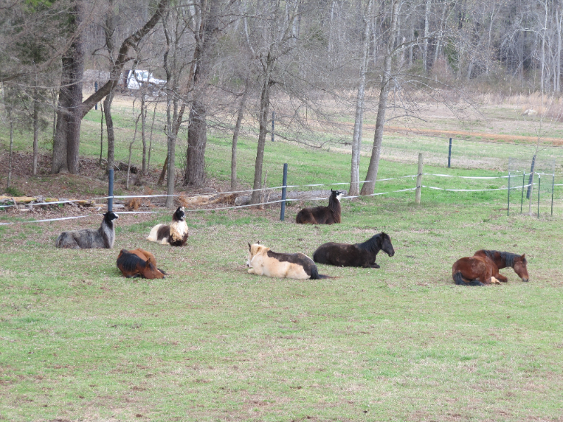 3925 L Lawrence Trail #1 - Photo 4 of 9