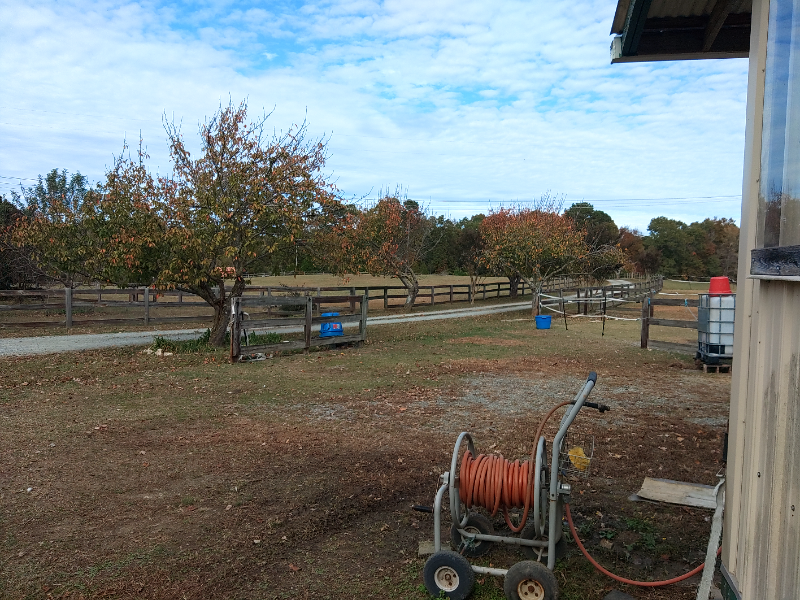 3925 L Lawrence Trail #1 - Photo 6 of 9