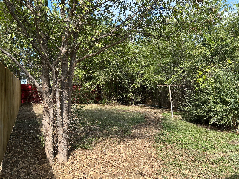 3409 Reed Street - Photo 3 of 13