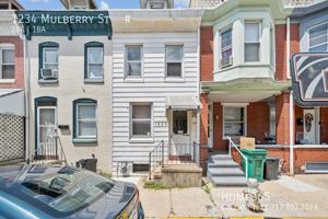 featured image of 1234 Mulberry Street