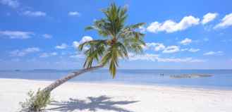 13561 Arizona St. - Photo 1 of 1