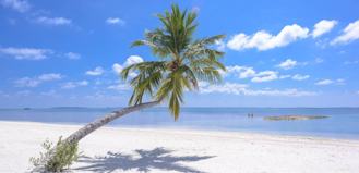 13561 Arizona St. - Photo 1 of 1