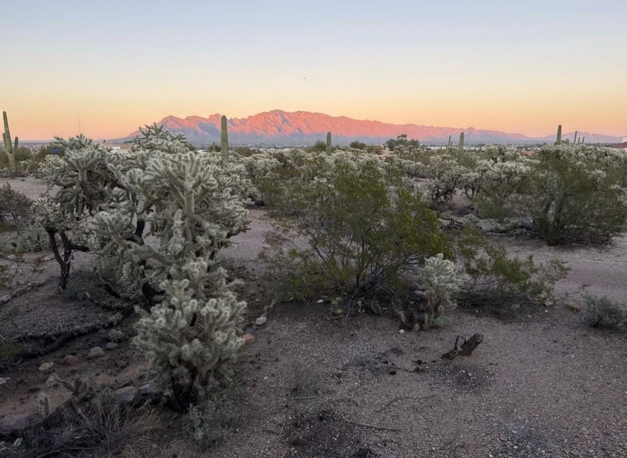 3130 W. Rock Hill Road - Photo 4 of 40