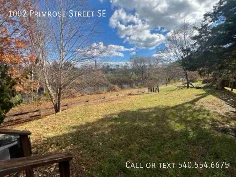 1002 Primrose Street Southeast - Photo 4 of 6