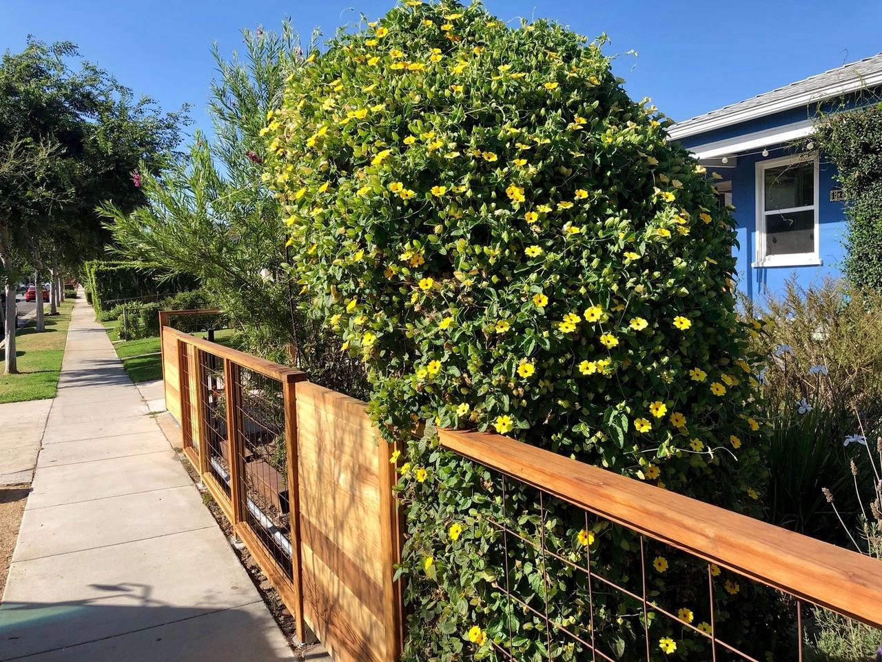 1727 Franklin St - Photo 3 of 33