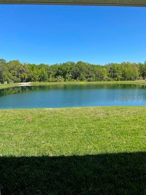 14209 57th Place #14209 - Photo 7 of 23