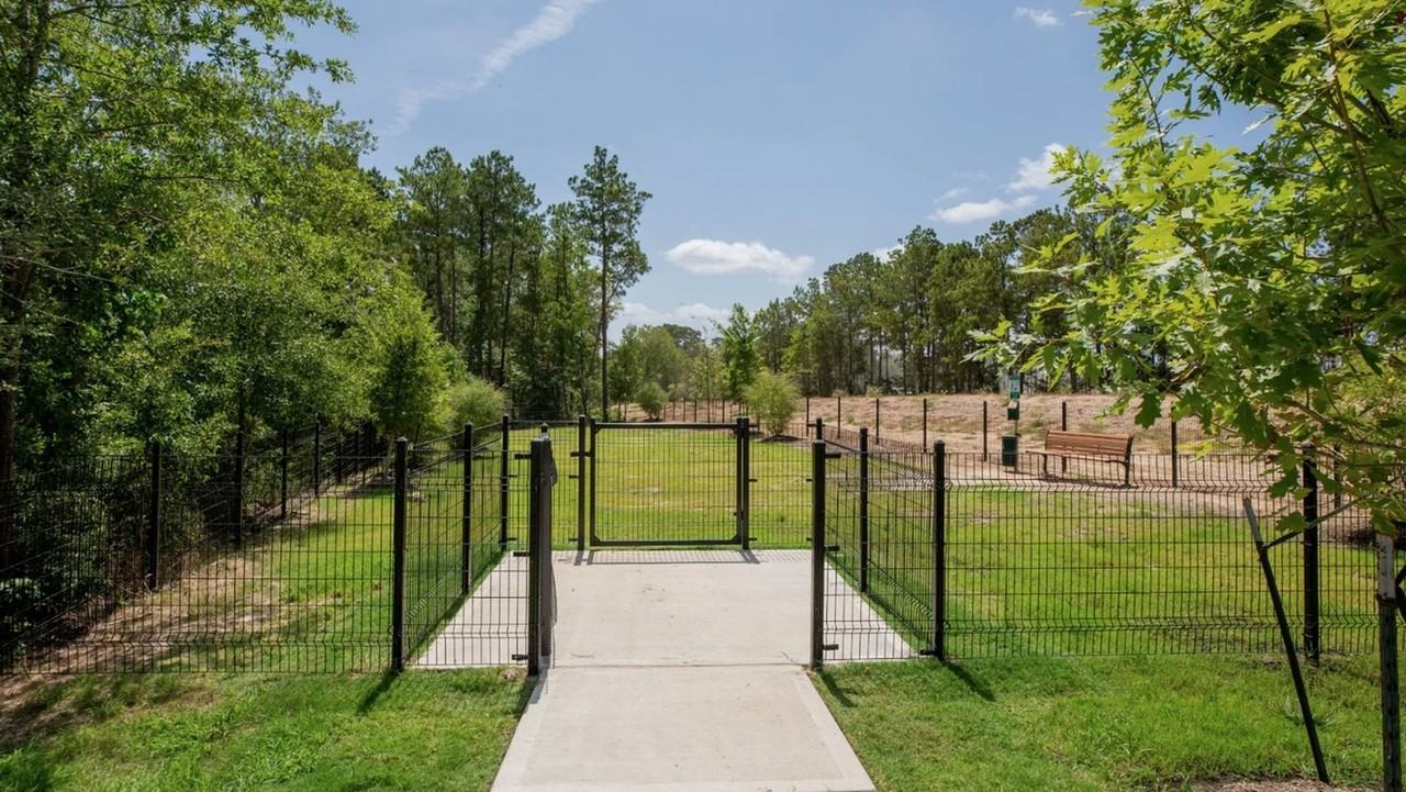 219 Blue Crane Street #219 - Photo 4 of 16