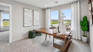 10212 Berkeley Springs Trl #10212 - Photo 3 of 7