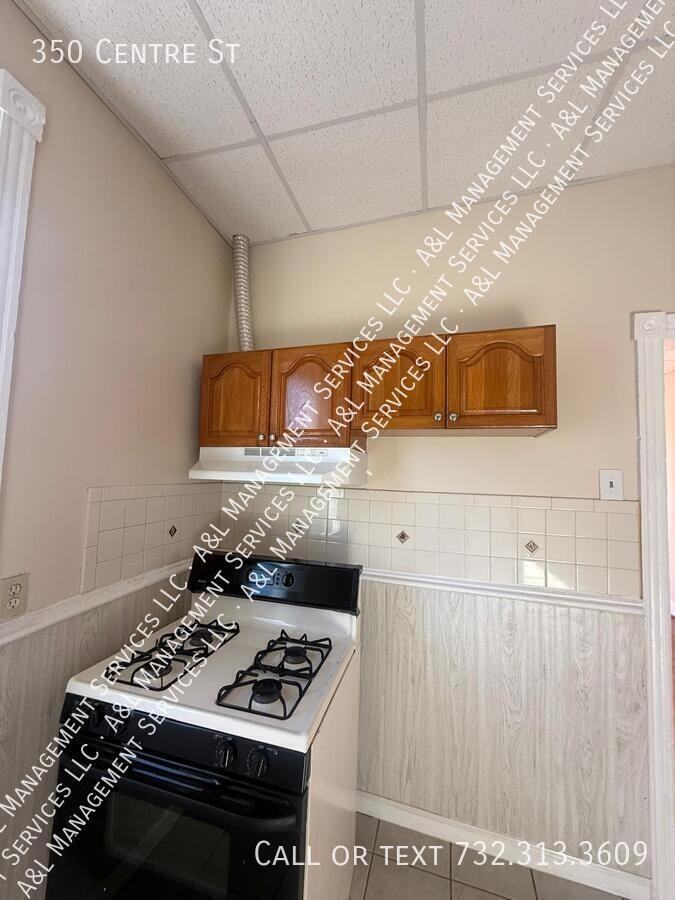 350 Centre St - Photo 6 of 17