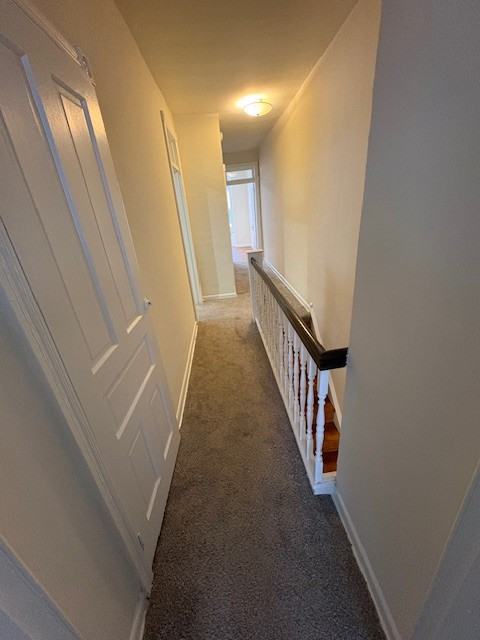 4941 Darrah Street - Photo 7 of 19