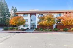 featured image of 2500 Lucy Lane