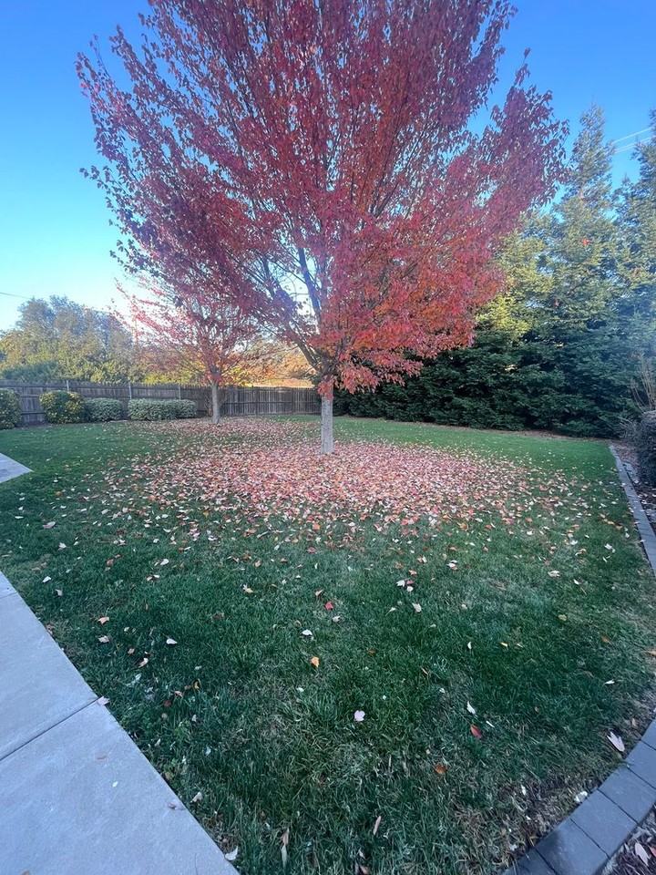 8940 Auburn Folsom Road - Photo 2 of 12